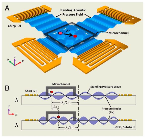 On chip manipulation of single microparticles