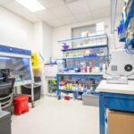 Sterile lab with biosafety cabinet, scientific instruments, and organized shelves of supplies.
